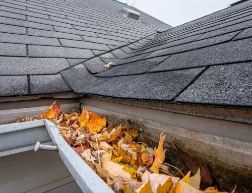 Fréquence nettoyage gouttières : à quelle cadence faut-il nettoyer ses gouttières pour éviter les fuites et les dégâts ?