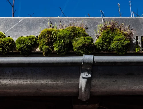 Pourquoi un entretien régulier toiture est-il essentiel pour la durabilité de vos bâtiments ?